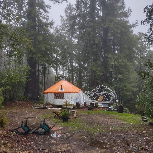 Meet your Posher, Thomas - Picture 16 of 16